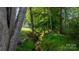 Backyard with a small creek and lush greenery, providing a serene and private setting at 179 Browning Dr, Taylorsville, NC 28681