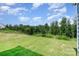 Expansive backyard with lush lawn, mature trees, and a gentle sloping landscape at 18019 Wilbanks Dr, Charlotte, NC 28278