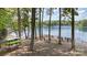 Scenic lake view surrounded by trees, with seating area and kayak access, perfect for relaxation at 18019 Wilbanks Dr, Charlotte, NC 28278