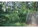 Lush backyard with chainlink fence creates a secluded and natural outdoor space at 226 Lake Sylvia Rd, Lincolnton, NC 28092