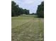 View of the manicured airfield, on level ground, in a rural setting at 2905 Medlin Rd # 40 Acres, Monroe, NC 28112