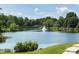 Scenic pond with a fountain, surrounded by lush greenery and mature trees, offering a tranquil view at 8044 Hawk Crest Ct, Charlotte, NC 28270
