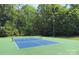 Outdoor tennis court with a blue playing surface and green surround, framed by mature trees at 8044 Hawk Crest Ct, Charlotte, NC 28270