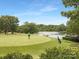 People playing golf near a lake at 10101 Wood Ct, Charlotte, NC 28277
