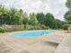 Backyard featuring a concrete pool and a privacy fence of lush trees at 116 Birchwood Ct, Mount Holly, NC 28120