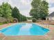 View of backyard pool with deck, grass and a privacy fence of lush trees at 116 Birchwood Ct, Mount Holly, NC 28120