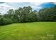 Lush, green backyard with a backdrop of mature trees, offering a serene and private outdoor space at 1483 Dawnview Ln, Lincolnton, NC 28092