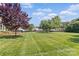 Spacious backyard with a grassy lawn and mature trees extending to the fence line at 166 Rumple Hill Dr, Statesville, NC 28677