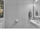 Bright bathroom featuring gray walls, modern sink, and towel rack at 19455 Smith Cir, Cornelius, NC 28031