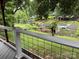 Lush backyard with a view of the lake, docks, and boat parking at 315 Wood Duck Loop, Mooresville, NC 28117