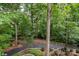 Long paved driveway, enhanced by landscaped surroundings and mature trees at 4672 Snow Dr, Harrisburg, NC 28075