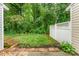 Landscaped backyard featuring privacy fence with lush greenery and trees at 10223 Reindeer Way Ln, Charlotte, NC 28216