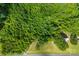 Overhead view showcases the dense tree coverage, spacious grassy area, and potential building site at 41042 Dennis Rd, Albemarle, NC 28001