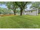 Large backyard with lush green grass, mature trees, and a wooden fence at 7219 Brynhurst Dr, Charlotte, NC 28210