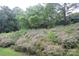 Landscaped backyard boasts flowering bushes and mature trees at 9823 Hyde Glen Ct, Charlotte, NC 28262