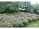 Spacious backyard featuring vibrant greenery, flowering bushes, and mature trees at 9823 Hyde Glen Ct, Charlotte, NC 28262