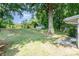 Spacious backyard with a shed, mature trees, and lush greenery at 5742 Murrayhill Rd, Charlotte, NC 28210