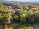 Aerial view of property surrounded by dense trees and lush greenery at 11201 Johnson Davis Rd, Huntersville, NC 28078