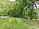 Expansive, lush backyard featuring mature trees offering privacy and natural beauty at 13617 Lake Bluff Dr, Matthews, NC 28105