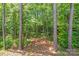 A wooded back yard offers a private and scenic natural setting at 2612 Cold Springs Rd, Concord, NC 28025