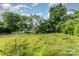 Large grassy backyard with mature trees and overgrown foliage at 307 Elm St, Belmont, NC 28012
