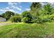 Green lawn with mature trees and overgrown plants at 307 Elm St, Belmont, NC 28012