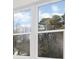 Bright windows let in natural light with peaceful views of blue sky and towering trees at 3119 Shenandoah Ave, Charlotte, NC 28205