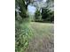 Spacious backyard featuring green grass and mature trees, creating a private outdoor space at 322 Buffalo St, Shelby, NC 28150
