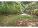 Spacious backyard with lush lawn and mature trees at 3230 Kingsfield Rd, Rock Hill, SC 29732