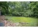 Large backyard lined with trees and natural foliage with brick remnants at 952 Salisbury St, Wadesboro, NC 28170