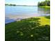 Beautiful lake view featuring clear waters and grassy shoreline, offering a peaceful setting at 160 Quail Hollow Dr, Kings Mountain, NC 28086