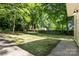 Large, shaded backyard featuring mature trees, a wooden fence, and a concrete patio area at 1709 Masonic Dr, Charlotte, NC 28205