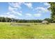 Expansive grassy area with a greenhouse, perfect for gardening and outdoor activities at 2159 Quiet Cove Ln, Stanfield, NC 28163