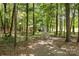 Gravel drive leading to a building in the forest setting at 2159 Quiet Cove Ln, Stanfield, NC 28163