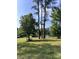 Green lawn with trees at 418 Cedar Grove Rd, Clover, SC 29710