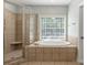 Elegant bathroom featuring a luxurious tub with tile surround, and glass door shower at 4218 Ash Hollow Ln, Denver, NC 28037