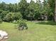 Landscaped backyard featuring lush greenery and a variety of trees and bushes at 12423 Softwood Ct, Charlotte, NC 28273