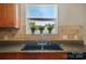 The kitchen features a dark sink, neutral-toned backsplash, and decorative plants, enhancing its warm ambiance at 8604 Rockmoor Ridge Rd, Charlotte, NC 28215