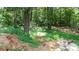A sloping wooded lot showing raw land at 1327 Mount Ulla Hwy, Mooresville, NC 28115