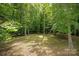 Wooded backyard with some sunlight coming through the trees at 441 Vermilion Dr, York, SC 29745
