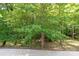 Backyard full of mature trees at 441 Vermilion Dr, York, SC 29745