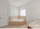 Bright bathroom features a jacuzzi tub with stone surround and glass block windows at 441 Vermilion Dr, York, SC 29745