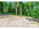 Green backyard with a large concrete pad surrounded by lush green trees and foliage at 2116 Eastway Dr, Charlotte, NC 28205