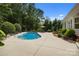 Backyard features an in-ground pool, patio, landscaping and wooded views at 9261 Marvin School Rd, Marvin, NC 28173