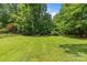 Large, lush backyard with green grass and mature trees, perfect for outdoor activities at 1310 Weddington Hills Dr, Matthews, NC 28104