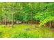 Secluded backyard with wooden fence and a small storage building nestled among the trees at 1520 Deer Forest Dr, Fort Mill, SC 29707