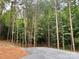 Picture of beautiful lush green trees surrounding the property at 908 Apex Dr, Albemarle, NC 28001