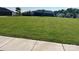 Beautifully maintained neighborhood green space with lush grass and sidewalks at 9226 Dunwich Dr, Gastonia, NC 28056