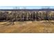 Aerial view showcasing tree-lined land with textured fields, highlighting the site's natural setting and potential at 0000 Milling Rd, Rock Hill, SC 29730