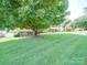 Large front yard, with mature shade tree, long driveway, and a partial view of the home's facade at 3509 Flint Dr, Statesville, NC 28677